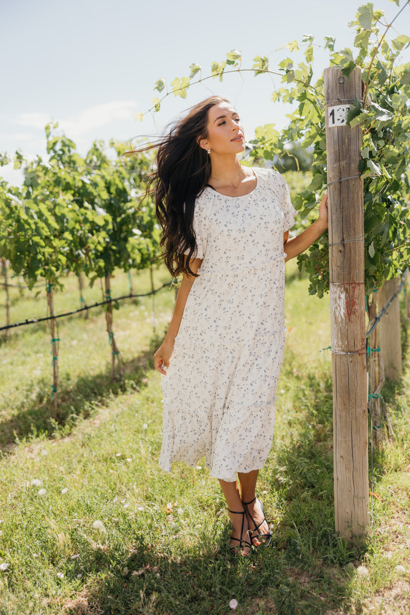 The Serena in endless day