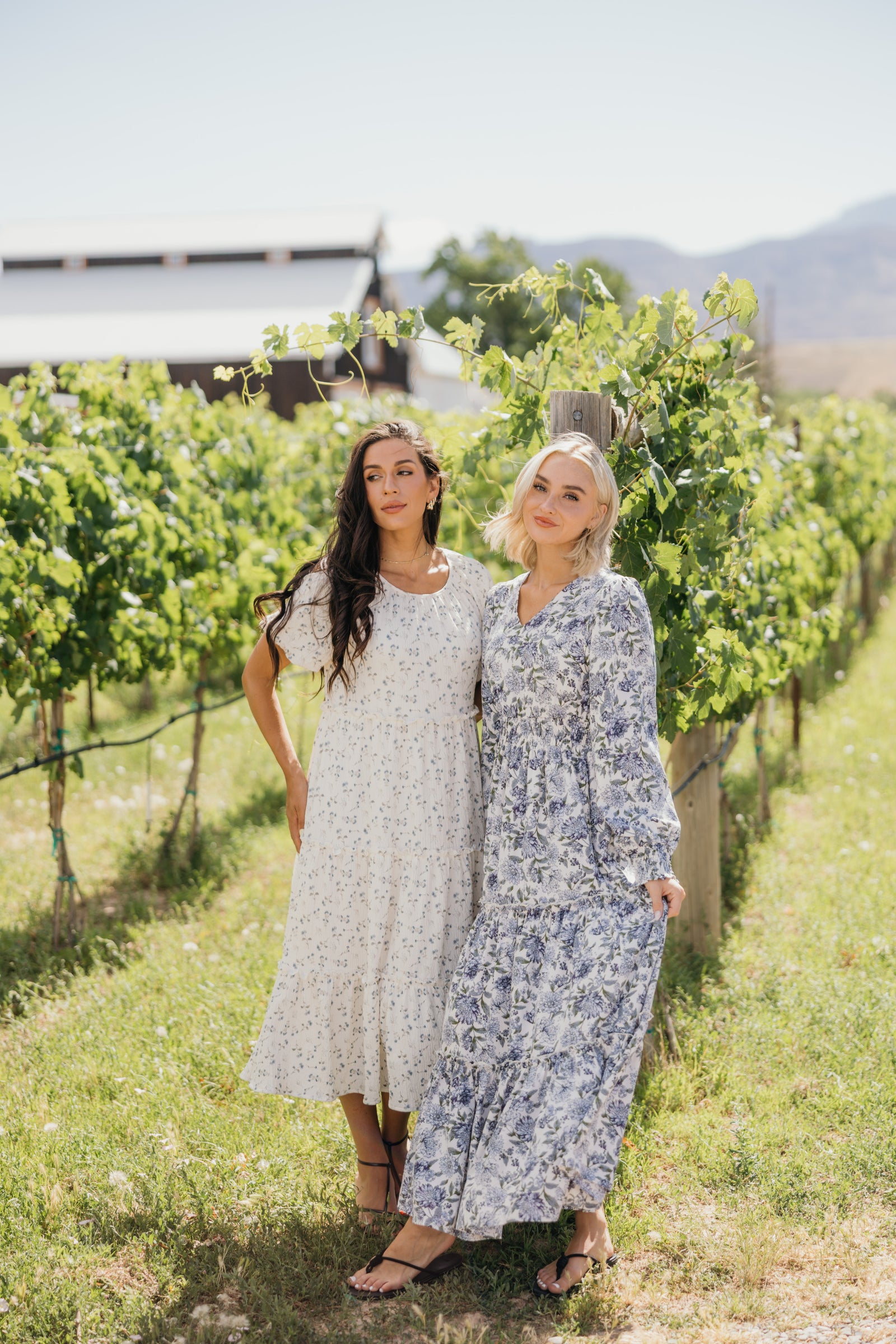 The Serena in endless day